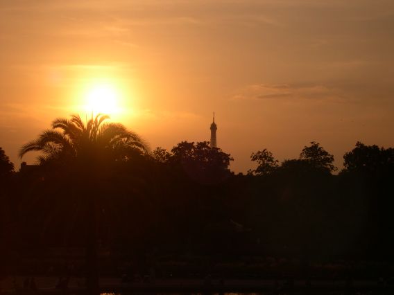  coucher de soleil sur le jardin du Luxembourg